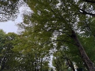 業務内容と魅力