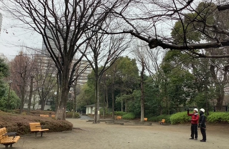 小金井市で未経験から始める造園業！安心して長期働ける 環境を提供。 あなたの成長を応援します！
