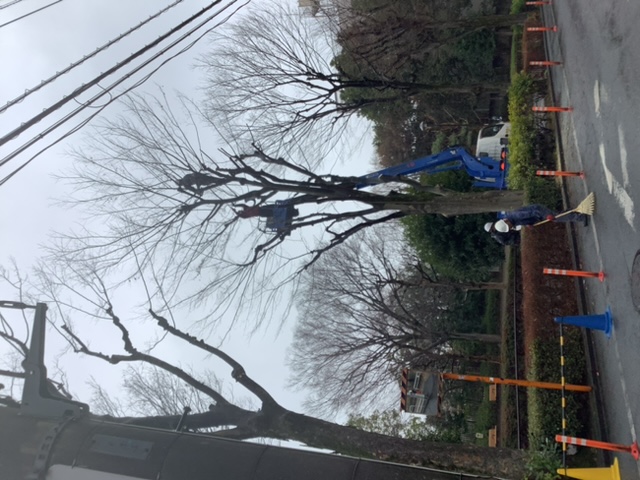 小金井市で新しい一歩を 踏み出そう！ (株)双葉苑では、未経験者も安心して始められます。