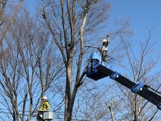 小金井市にある 株式会社双葉苑。 未経験から目指す造園職！ 安心して学べる環境です。