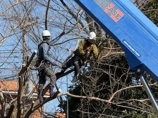 安心して長く働ける制度