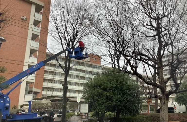 小金井市で新たな挑戦を！ 経験を活かして活躍 しませんか。