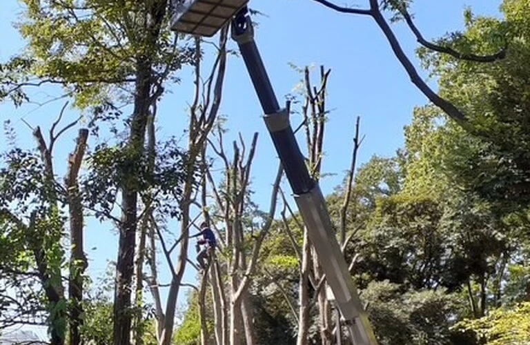 小金井市で未経験から始める造園業キャリア。 あなたの挑戦を 待っています！