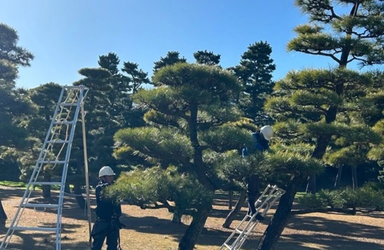 企業様向け定期管理