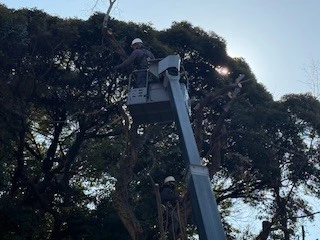 緑豊かな小金井市で 長くお付き合いできる 協力会社さま募集！