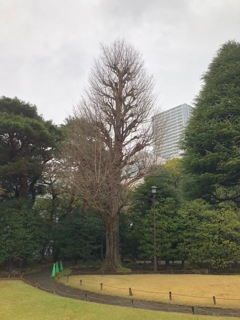 気軽に相談できる環境