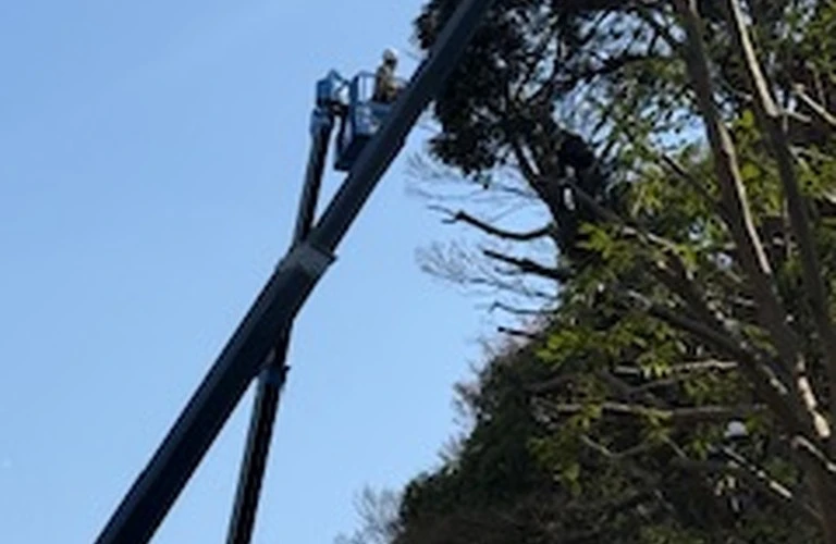 造園業協力会社様募集！ ご縁から広がる現場。
