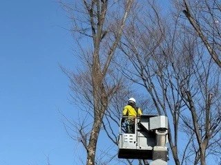 小金井市で造園業 協力会社様を募集！ 共に成長し合い、現場をよくしていきましょう。
