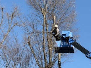  一緒に働けるご縁を  お待ちしています。  小金井市で協力会社様募集！