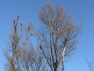 気軽に相談できる環境