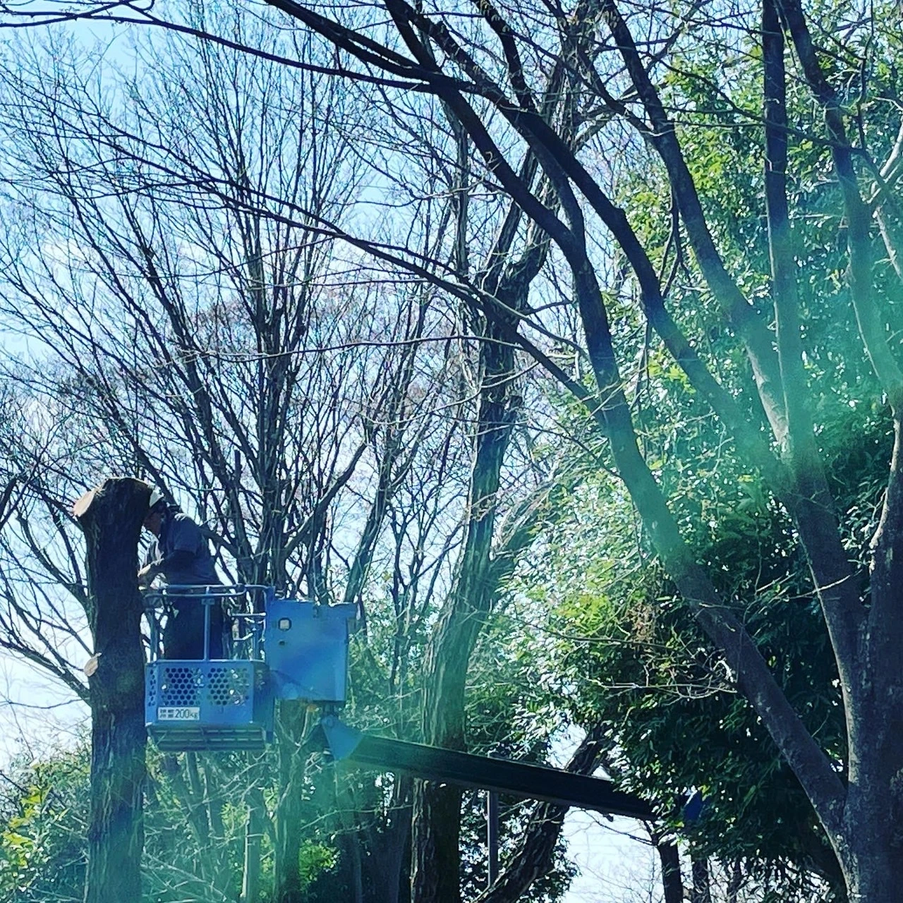 小金井市の造園会社 (株)双葉苑で 協力会社様を募集！