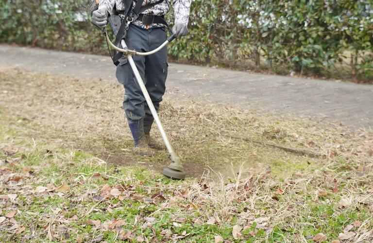 小金井市で新たに広がる 造園、協力会社大募集！