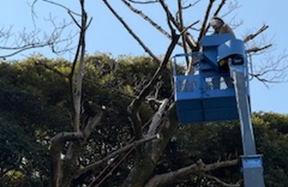 小金井市で パートナー会社様を募集！ 共に成長しましょう。