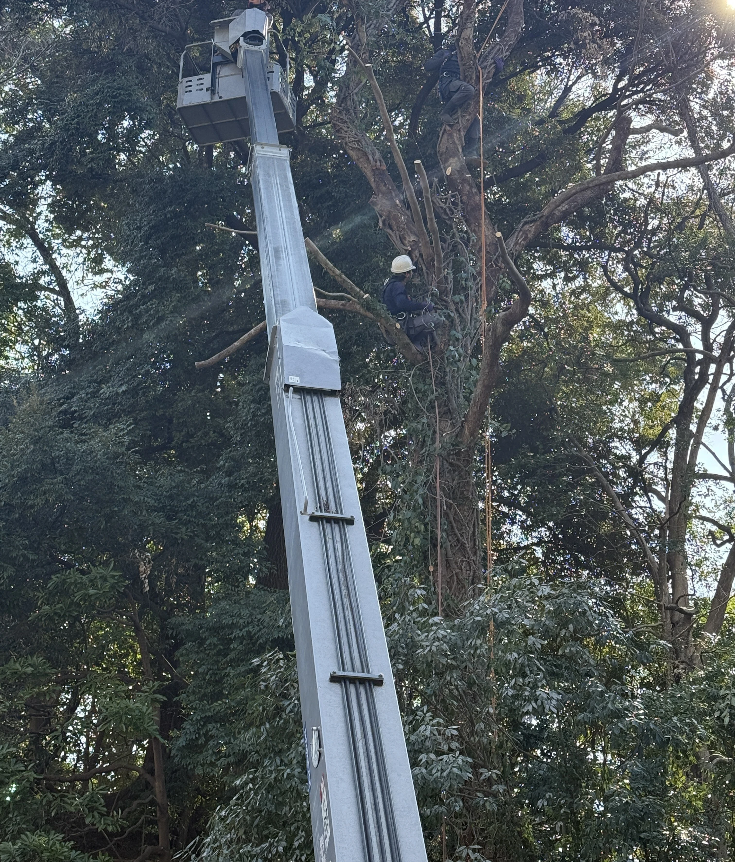 一緒に現場を支えてくださる 会社様、お問い合わせ お待ちしています！
