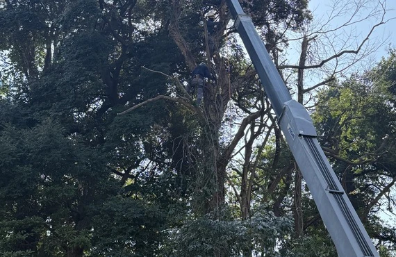 小金井市で造園 協力会社さま募集！ パートナー様とのご縁を 大切にしています。