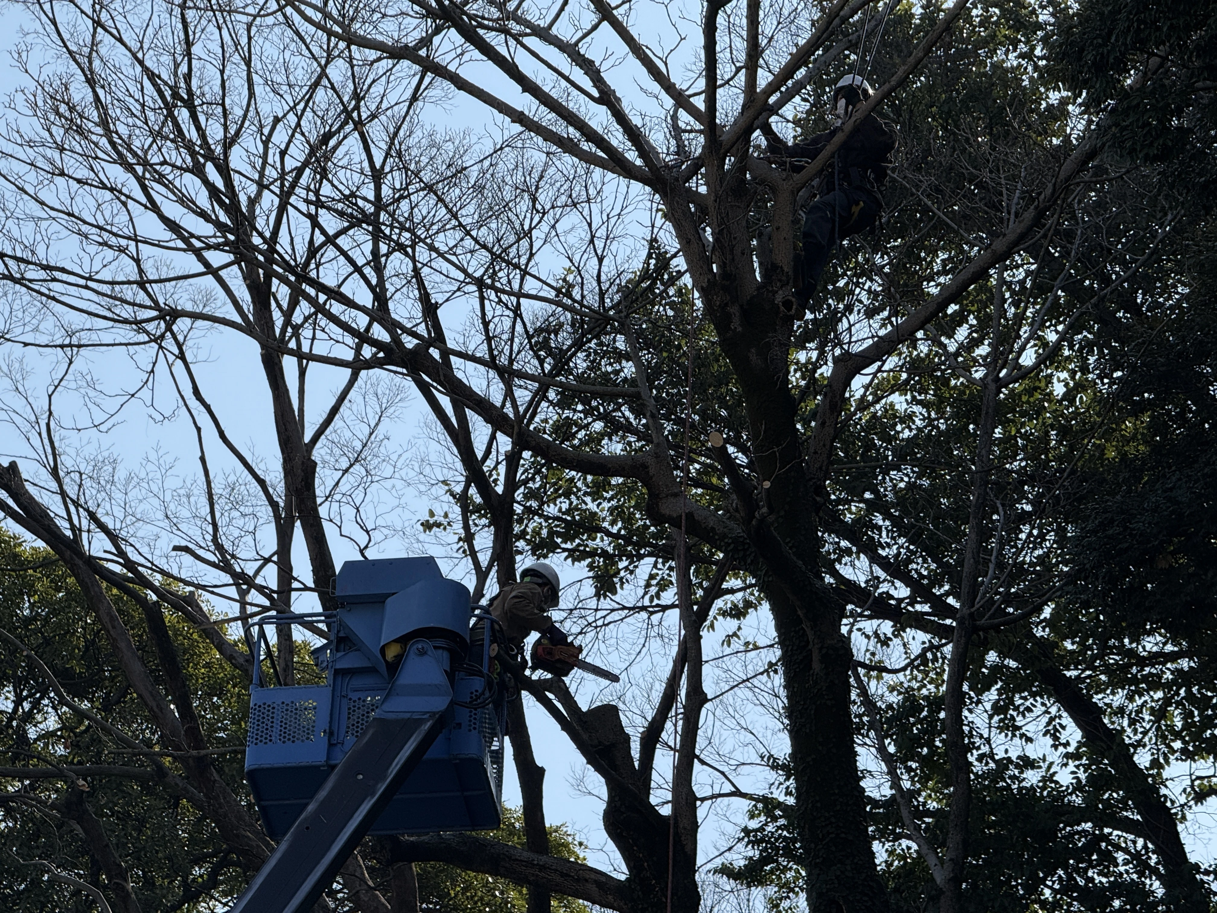気軽に相談できる環境