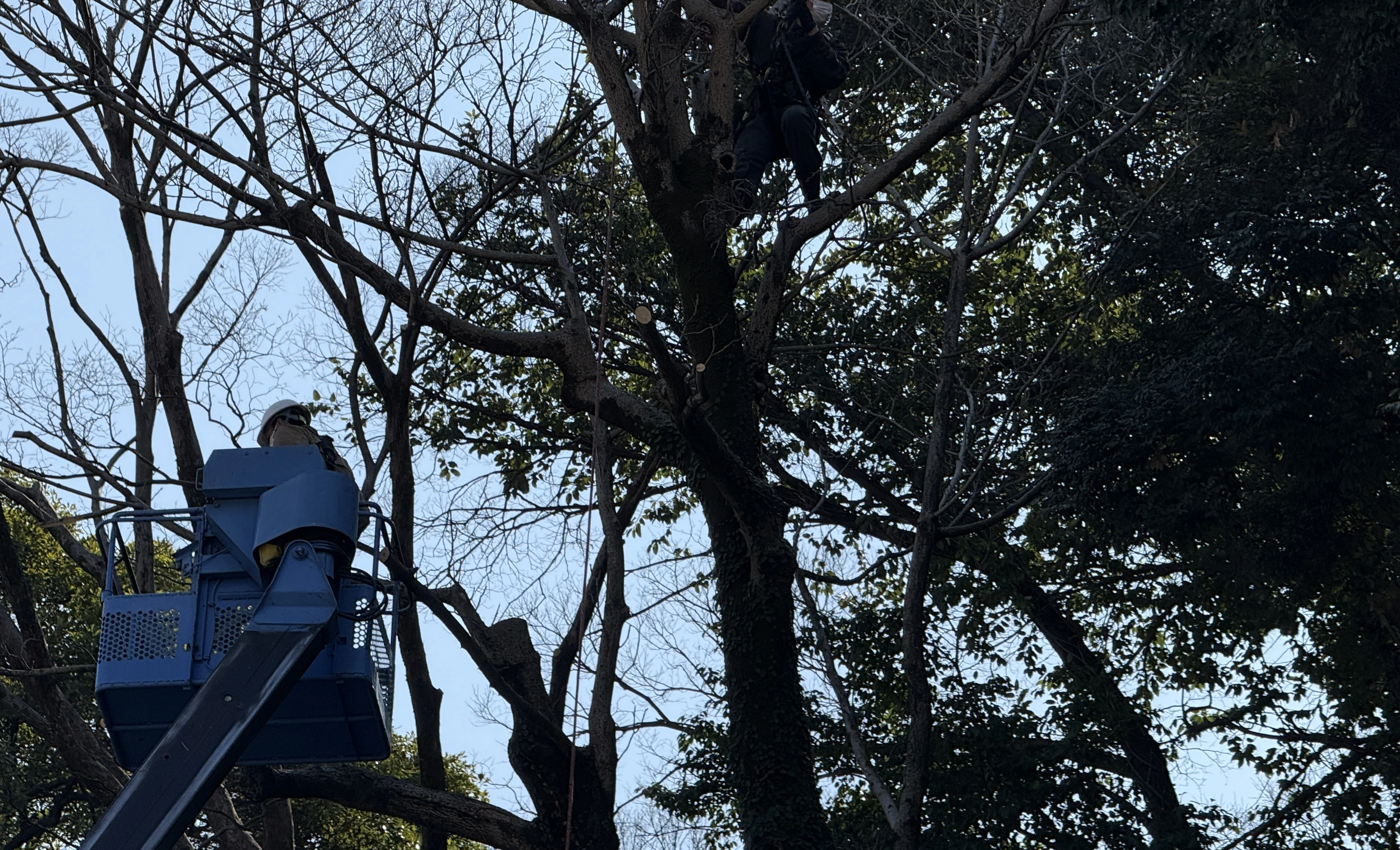 気軽に相談できる環境