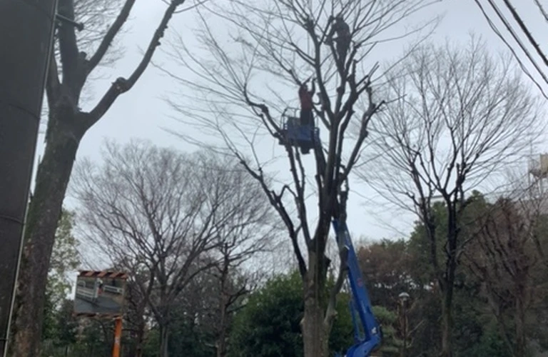 小金井市で協力会社様募集！一緒に成長しませんか？