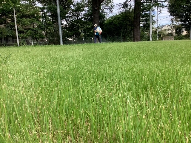共に成長する仲間を探しています！
