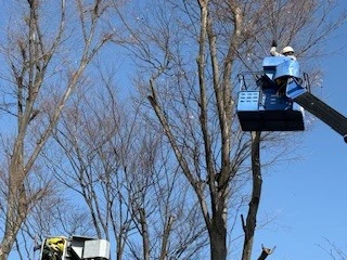 小金井市で 造園協力会社様募集！ 共に成長しましょう。