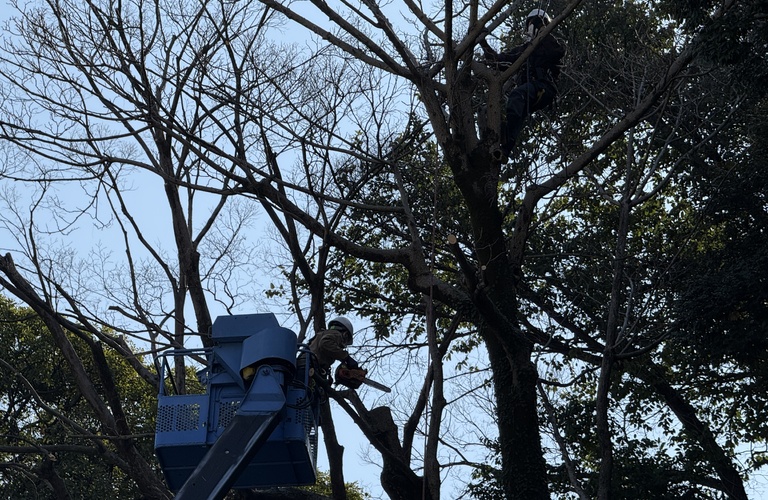 造園業、協力会社様を 募集しています! 共に現場で成長し合って まいりましょう。