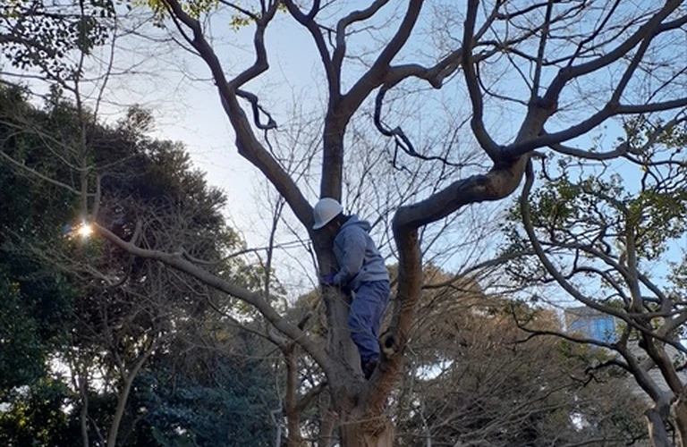 未経験から始める造園業！資格取得支援でスキルアップを目指そう！