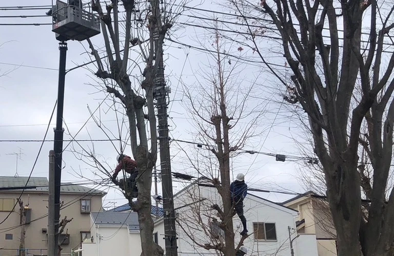 新たな高所作業車スキルで成果を上げよう！