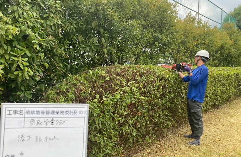 若手職人の熱き挑戦！技術継承と環境への配慮で未来を創る