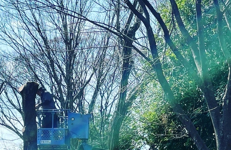 小金井市での通勤を快適に！営業職求人情報満載