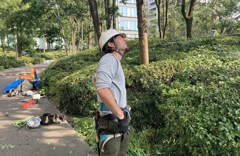 未経験からプロの造園家へ。あなたも美しい緑を創る技術を身につけよう。
